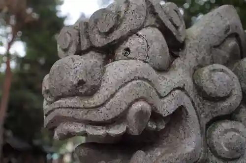 琴似神社の狛犬