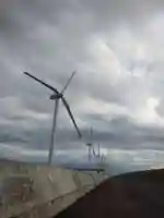 金比羅神社の周辺