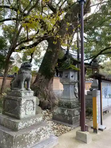 太宰府天満宮の狛犬