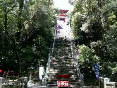 紀州東照宮の{uncategorized: "未分類", other: "その他", undefined: "問題あり", building: "その他建物", grave: "お墓", sacred_gate: "鳥居", guardian: "狛犬", statue: "像", buddha: "仏像", history: "歴史", nature: "自然", garden: "庭園", animal: "動物", pagoda: "塔", temizu: "手水舎", mountain_gate: "山門・神門", sanctuary: "本殿・本堂", subordinate: "末社・摂社", art: "芸術", scenery: "景色", jizo: "地蔵", ema: "絵馬", goshuin: "御朱印", omikuji: "おみくじ", items: "授与品その他", amulet: "お守り", goshuincho: "御朱印帳", eats: "食事", festival: "お祭り", votive_dance: "神楽", shichigosan: "七五三参", wedding: "結婚式", experience: "体験その他", initially: "初詣", around: "周辺", anti_infection: "感染症対策"}