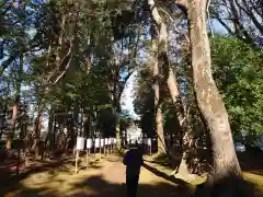 小御門神社の景色