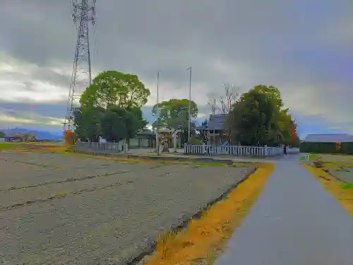 諏訪神社（今川町）の自然