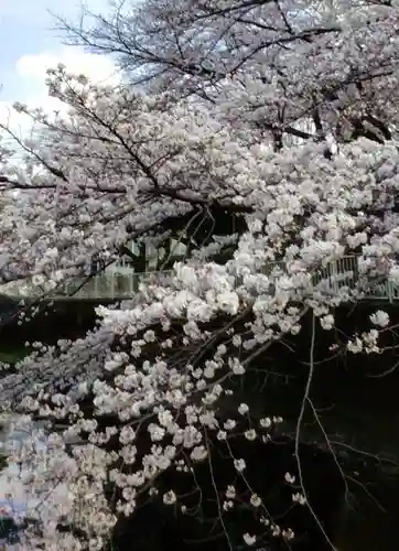 下高井戸八幡神社(東京都)