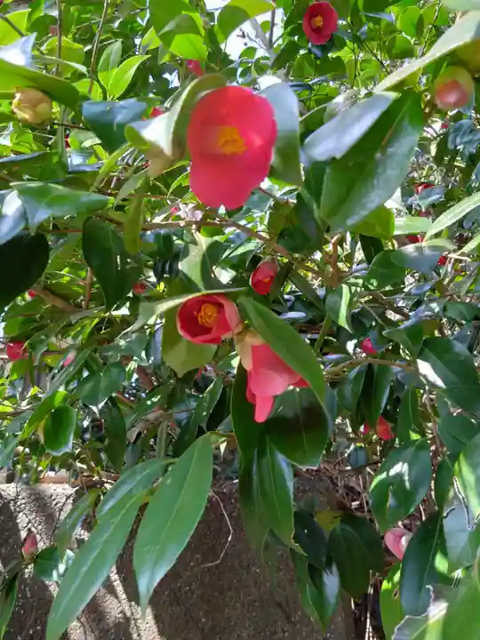 八大龍王水神(宮崎県)