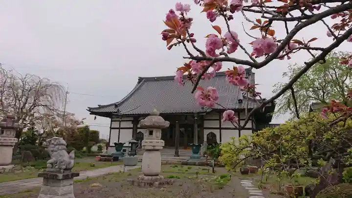 全龍寺(埼玉県)