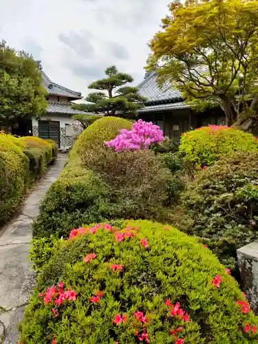 常照院（曼陀羅寺塔頭）の自然