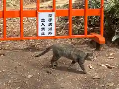 玉村八幡宮の動物