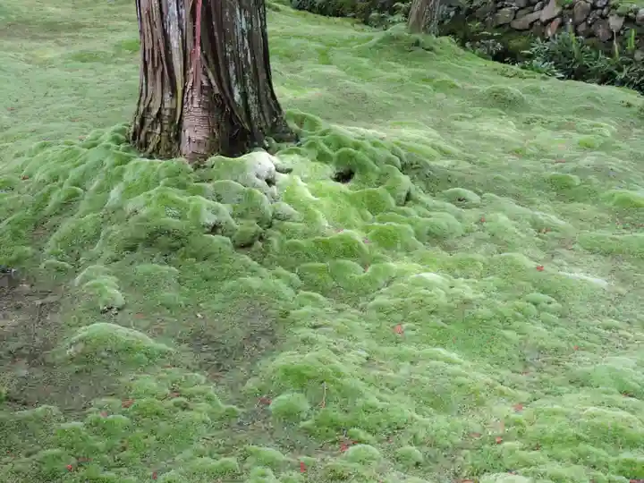 西芳寺(京都府)