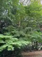 青龍寺(新潟県)