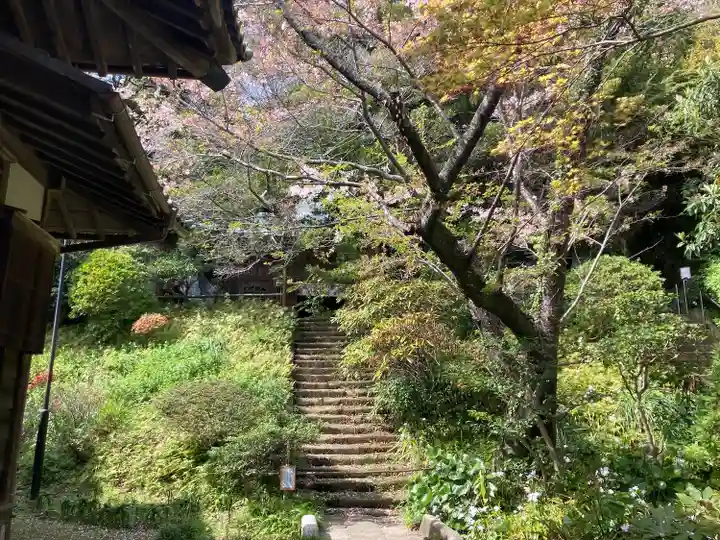 浄光明寺(神奈川県)