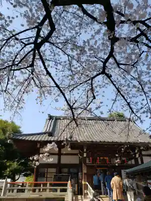 新井薬師(梅照院)の本殿・本堂