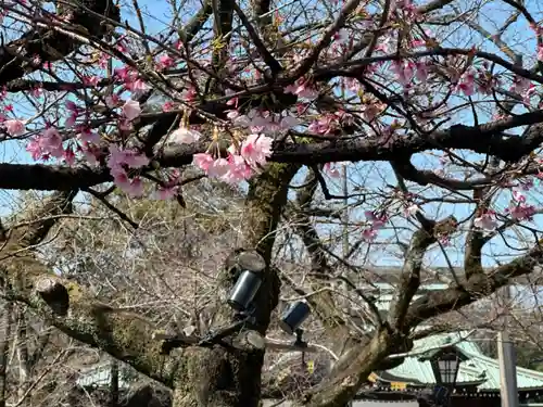 靖國神社(東京都)