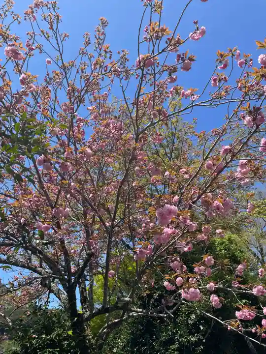 平岡八幡宮(京都府)
