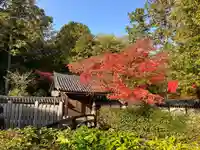 西芳寺(京都府)
