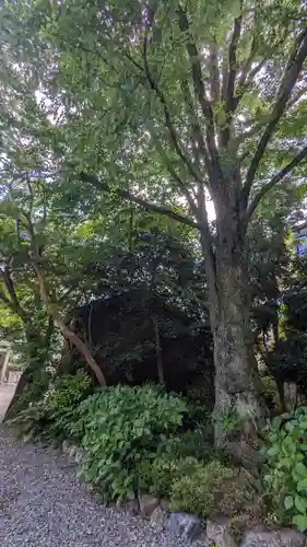 若宮八幡宮(京都府)
