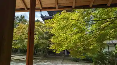 真正極楽寺(真如堂)(京都府)