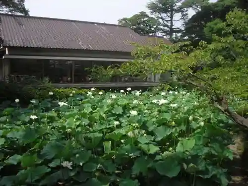 鶴岡八幡宮の自然