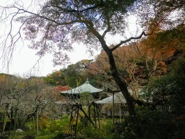 瑞泉寺のその他建物