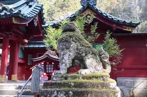 箱根神社の狛犬