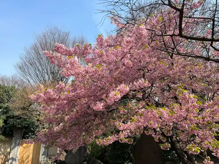 新井薬師(梅照院)(東京都)