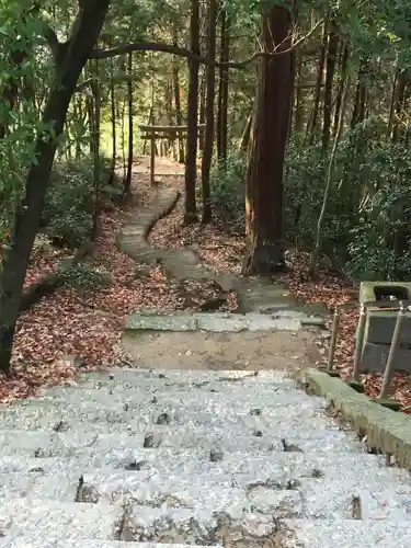 石上布都魂神社の鳥居