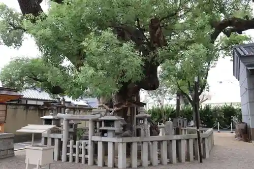 杭全神社(大阪府)