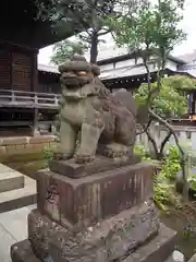 白山神社の狛犬