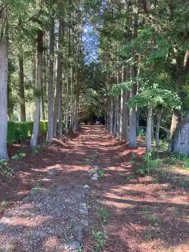 温泉神社の建物その他