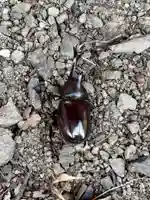 蚊里田八幡宮(長野県)