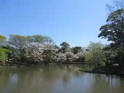 鶴岡八幡宮(神奈川県)