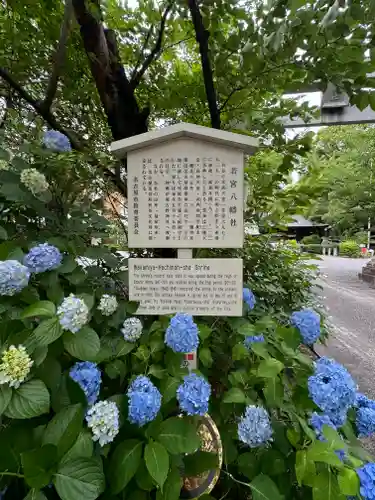 若宮八幡社(愛知県)