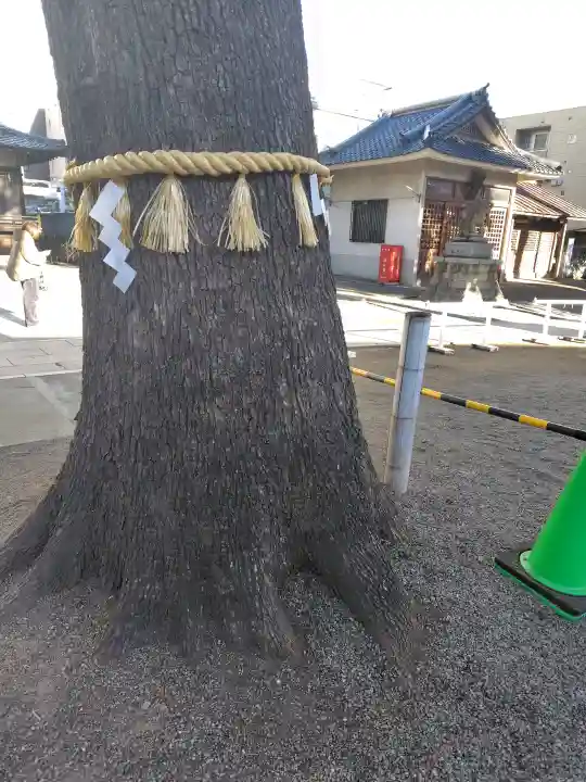 荻窪白山神社の{uncategorized: "未分類", other: "その他", undefined: "問題あり", building: "その他建物", grave: "お墓", sacred_gate: "鳥居", guardian: "狛犬", statue: "像", buddha: "仏像", history: "歴史", nature: "自然", garden: "庭園", animal: "動物", pagoda: "塔", temizu: "手水舎", mountain_gate: "山門・神門", sanctuary: "本殿・本堂", subordinate: "末社・摂社", art: "芸術", scenery: "景色", jizo: "地蔵", ema: "絵馬", goshuin: "御朱印", omikuji: "おみくじ", items: "授与品その他", amulet: "お守り", goshuincho: "御朱印帳", eats: "食事", festival: "お祭り", votive_dance: "神楽", shichigosan: "七五三参", wedding: "結婚式", experience: "体験その他", initially: "初詣", around: "周辺", anti_infection: "感染症対策"}