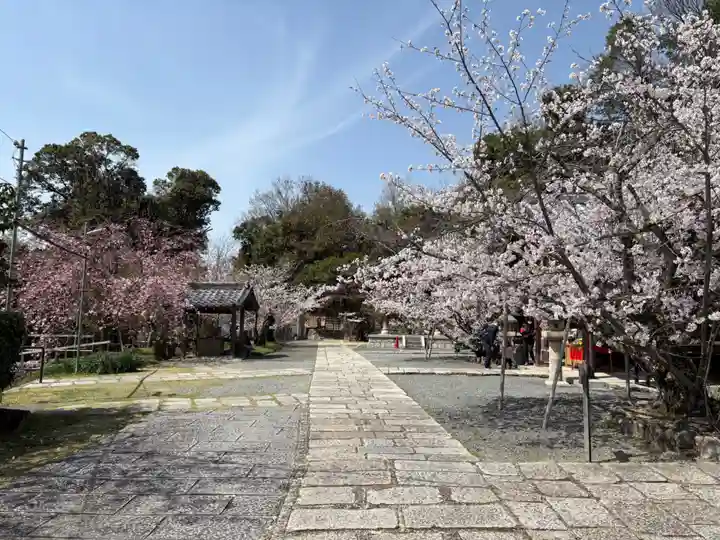 安岡寺(大阪府)