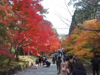 二尊院(京都府)