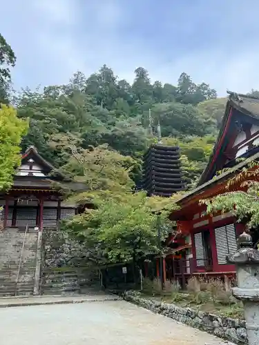 談山神社(奈良県)