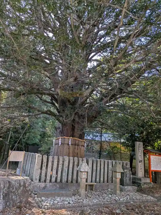 熊野速玉大社(和歌山県)