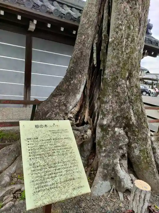 曼陀羅寺のその他建物