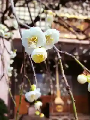 聖輪寺(東京都)
