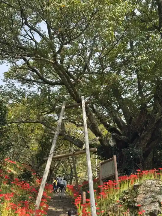 仏隆寺(奈良県)