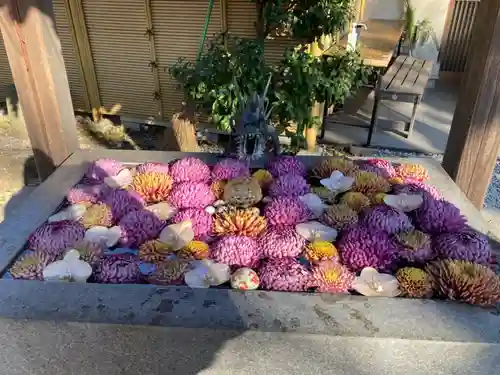 蛇窪神社の手水