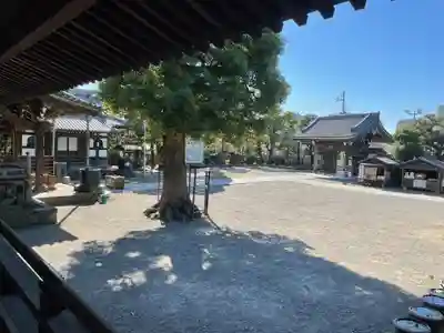 題経寺(柴又帝釈天)(東京都)
