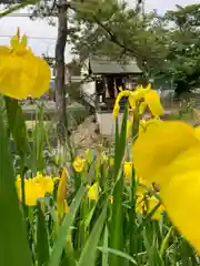 尾上神社の自然