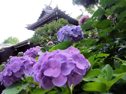 白山神社の自然