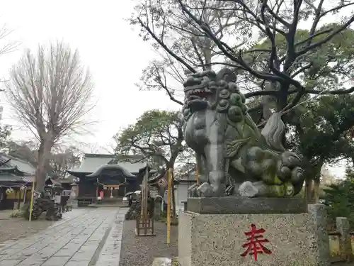 菊田神社の狛犬