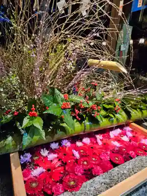 白山神社(新潟県)