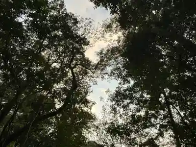 伊勢神宮内宮（皇大神宮）(三重県)