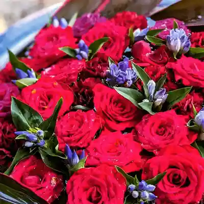 札幌護國神社の手水舎