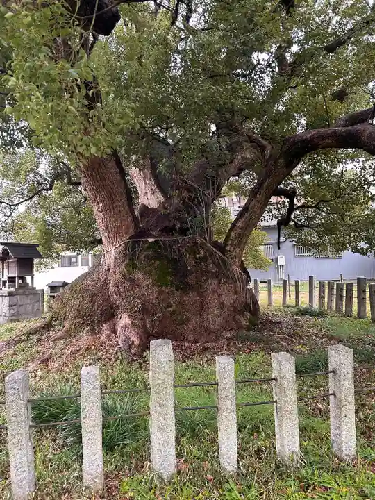 村上社(愛知県)
