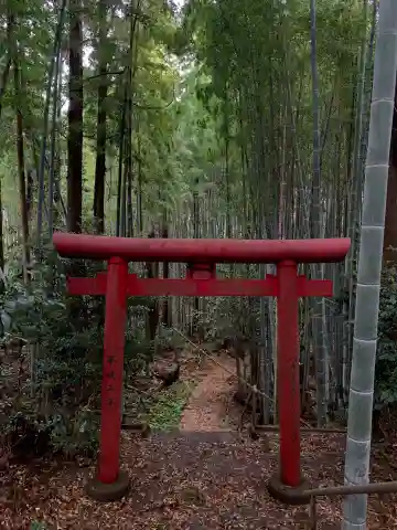 借宿山蔵王大神(千葉県)