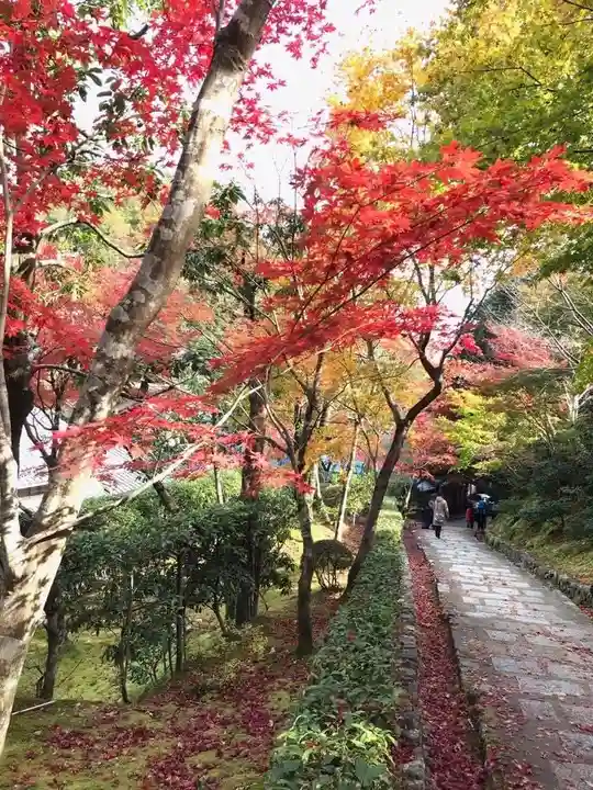 化野念仏寺の自然